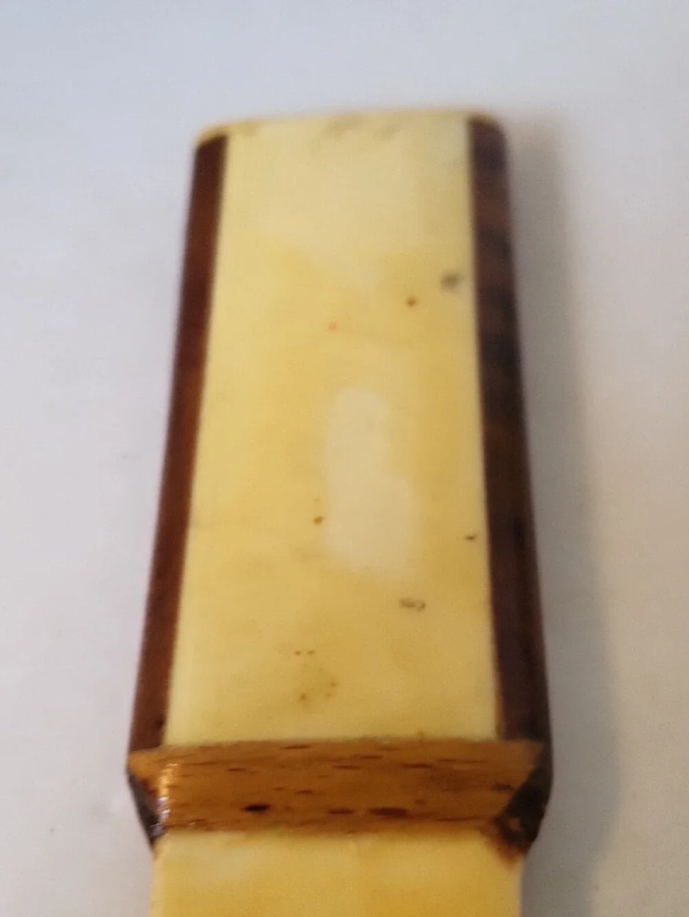 Vintage Persian Hand-Painted Camel Bone Letter Opener